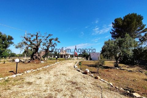 Landejendom i Carovigno, Brindisi, Carovigno - € 98.000 | Ref: 122569 - foto 15